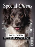 Spécial Chiens